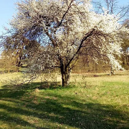 Apartament Chalupa V Zahrade Mezi Vinohrady *